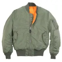 在飛比找Yahoo!奇摩拍賣優惠-南◇ ALPHA INDUSTRIES MA-1 FLIGH