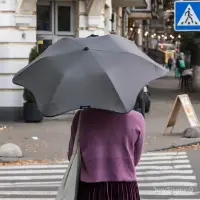 在飛比找蝦皮購物優惠-新西蘭Blunt半自動晴雨傘男女士創意折疊傘超強防風傘防曬傘