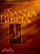 Santa Biblia / Holy Bible: Version Reina-Valera 1995 Bible, Antiguo Testamento