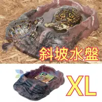 在飛比找蝦皮購物優惠-@墨耘@ZOO MED 斜坡水盤 S款 顏色隨機 蘇卡達 豹