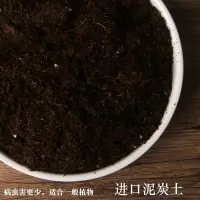 在飛比找樂天市場購物網優惠-營養土種植土通用型花土專用土壤蘭花土有機土多肉土綠蘿土泥炭土