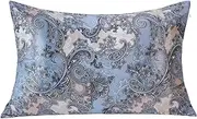 MANSPHIL Blue Grey Paisley 100% Silk Pillowcase Queen Size, Vintage Floral Printed Pattern, 22 Momme Mulberry Silk Pillow Cases Cover Zipper Closure, Hypoallergenic Beauty Care, 20"X30"
