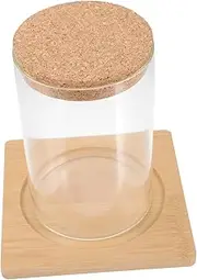 Cabilock Glass Plant Terrarium Micro Landscape Terrarium for Hydroponic Plants Decorative Tabletop Planter with Bamboo Mat for Decor Design