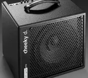 AER "Cheeky D" 200W Electric Guitar Amp (1 x 10")