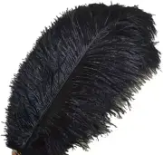 Set of 10Pcs 14''~16''(35~40Cm) Natural Ostrich Feathers for DIY Home Wedding Pa