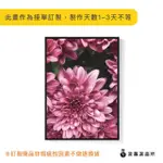 【菠蘿選畫所】花 ‧ 天生麗質-50X70CM(春天/臥房掛畫/花卉掛畫/複製畫/民宿/北歐/空間/過年裝飾)