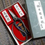 Professional Japanese Bonsai Scissors Hand-Forged Unused 7.5" Pruning Tool New