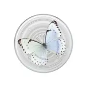 Popsockets 808969 Universal PopGrip Plant whisper Moth.WP