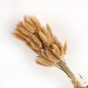 19 Inch Natural Bunny Tails Dried Flowers，Bohemian Style，Pampas Grass Decor，120 Pcs Dried Flowers，Eternal and Preserving Floral Arrangement in Home Decoration ﻿(Primary Color)