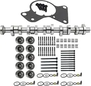 AP01 Camshaft & Bearing Compatible With VW Touareg Transporter T5 Multivan 2.5 TDI BNZ BPC BPD BPE 070109101Q