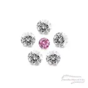 Diamond Valley Daisy 0.105ct Authentic Australian Argyle Diamonds - 4PP & White