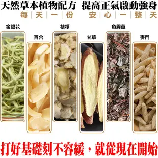 【蔘大王】金銀花鎮守茶(6gX10包/組) 防禦維持/防疫茶/草本茶包/強身補氣/增強防護《HB11》