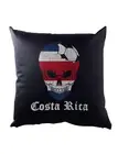 Costa Rica Football Skull I Cushion Pillow Rican Soccer Flag World Championship