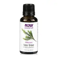 在飛比找Yahoo奇摩購物中心優惠-【NOW】天然茶樹精油(30 ml) Tea Tree Oi