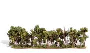 Woodland Scenics Hedge Row Classics Built Trees 8-1/4 x 1 to 4in TR3582