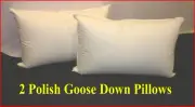 2 STANDARD SIZE PILLOWS - 95% POLISH GOOSE DOWN - MEDIUM - AUSTRALIAN MADE