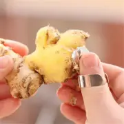 1Pc Practical Stainless Steel Kitchen Gadget Garlic Ginger Cutter Peeler Tools