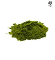 Barley Grass Powder 85g - 1.95Kg Premium Quality Hordeum Vulgare