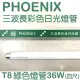 PHOENIX 鳳凰三波長彩色日光燈 (綠光) T8四尺直管36W - 25入/箱