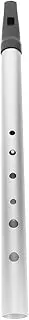Kisangel Irish Whistle for Boys and Girls 6-hole Flute Instrument c Key Recorder for Beginners Plastic Metal Musical Toy
