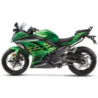 在飛比找momo購物網優惠-【KAWASAKI】NINJA忍者 300(黃牌檔車/機車/