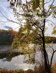 The Splendor of Lake Elkhorn in the Fall by Wynette McKenzie (English) Paperback