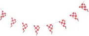 BELLIFFY Racing Checkered Flag String Banner Pennants for Sports Events Car Racing Parties and Garden Decor Hanging Flags for and Celebrations