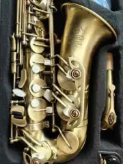 NEW Alto Saxophone Antique copper High Quality E-flat Sax with case