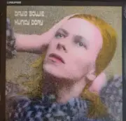 David Bowie - Hunky Dory LP - 180 Gram Black Vinyl Album - SEALED NEW RECORD