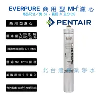 在飛比找蝦皮購物優惠-MH2 單支下標區 無超商取貨付款 EVERPURE MH 