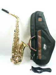 Saxophone Carina Alto Clear Lacquer Finish with Accessories