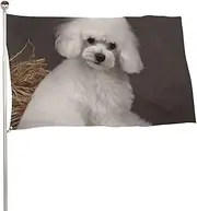 French Poodle Flag 35x59 in Double Sided Printed Garden Flag Decorative Banner No Fade Yard Flag with Brass Grommets Hanging Photo Backdrop for Indoor Outdoor Party Home Decor