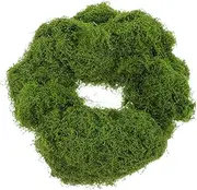 Outanaya High-Realism Artificial Moss Fake Grass for Crafts Faux Moss Mat 100g Outdoor Indoor Decor