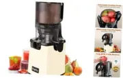 Cold Press Juicer Machines, 5.3'' Self Feeding Slow Masticating Juicers White