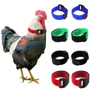 Paquete De 8 Collares Para Gallos Sin Cuervos, Collares Para Pollos Con Anti...