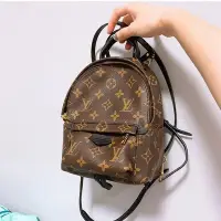 在飛比找Yahoo!奇摩拍賣優惠-LV M41562 Palm Springs Mini Mo