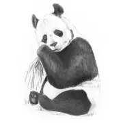 Royal & Langnickel(R) Sketching Made Easy Kit 5"X7"-Panda SKMIN-107