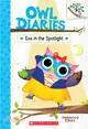 Eva in the Spotlight: A Branches Book (Owl Diaries #13)