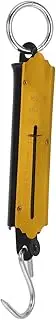 LALAFINA Mini Portable Scale Electronic Spring Scale Accurate Weighing for Fish Vegetables and Fruit Ideal for Kitchen and Travel