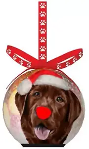 Twinkling Treasures 3D Blinking Christmas Ornament - 3.5" - CHOCOLATE LABRADOR