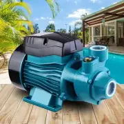 Peripheral Water Pump for Pool Pumping Clean Garden Farm Rain Tank Irrigation