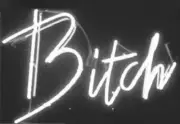 Bitch Acrylic 14" Neon Light Sign Lamp Bedroom Wall Decor Windows