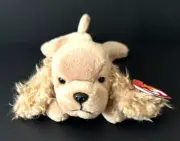 TY BEANIE BABIES SPUNKY COCKER SPANIEL PCV NMW/TAGS CASE+PROT TAG #BB821 ERRORS!