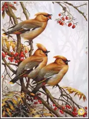 The changing seasons 1438 Chart Counted Cross Stitch Pattern