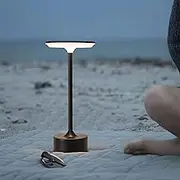 Shenzhi Tech Ambient LED Table Lamp, USB Rechargeable Desk Lamp, Touch Controlled Dimmable Indoor Night Light for Home Decor Bedside Room (Black)