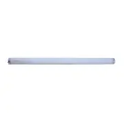 SectaRid Commercial Replacement Globe - To Suit SR40SS And SR40A