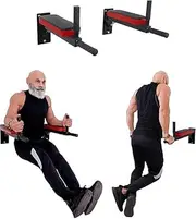 Wall Mount Dip Station with 4 Padded Handle Bars, Heavy Duty