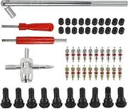 54Pcs Tire Valve Stem Installation Remover Tools Kit Car Valve Core Puller