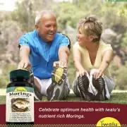 Plant Protein - Sustainable Nutrition For Active Bodies, iwalu Moringa Capsules