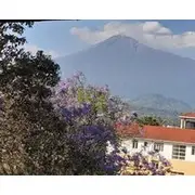 Boulevard Inn Mt Meru